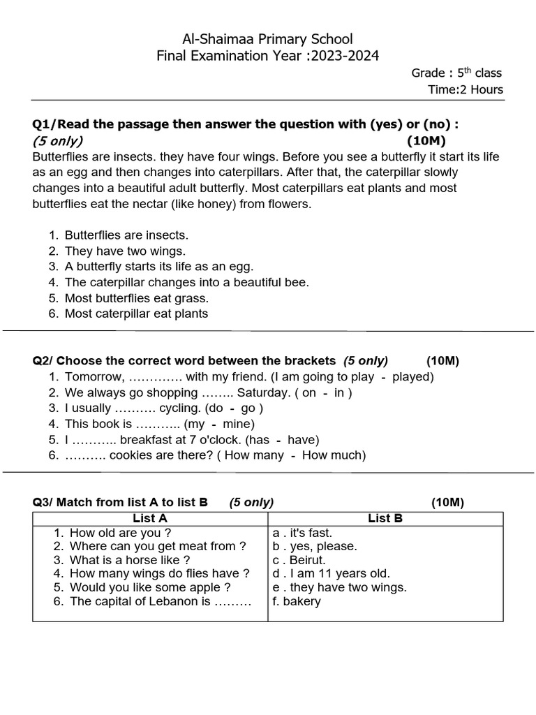 final-year-exam-pdf-butterfly-insects-and-humans