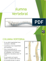 Columna Vertebral i (1)