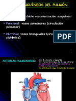 Irrigacion y Inervacion Del Pulmon