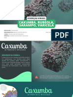 Seminário (Caxumba, Sarampo, Rubéola e Varicela) - Compressed