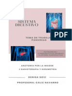 A. Digestivo Anatomia Denisa