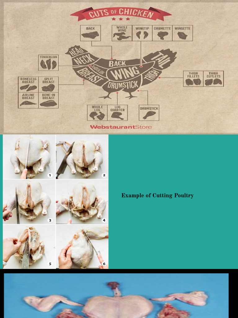 Angel-Tle Project | PDF