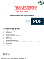 Enfermedades Del Aparato Respiratorio Del Equino Final