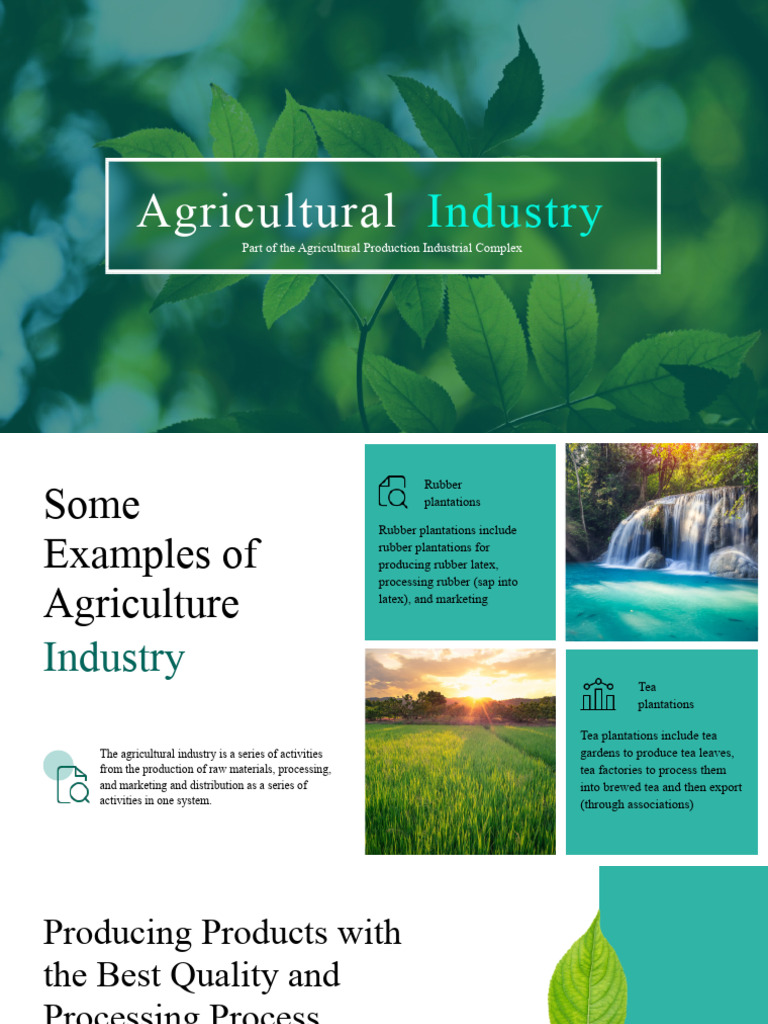 Green Clean Agricultural Industry Presentation Template | PDF | Natural ...