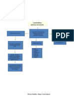 Mapa Conceptual Propiedades de La Leche