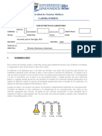 Guia de Laboratorio Docente - Técnicas Lab - O22m23 HHHH