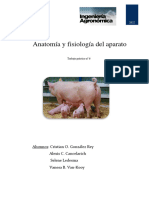 TP #6-Anatomia y Fisiologia Del Aparato Reproductor de Porcinos (Hembra)