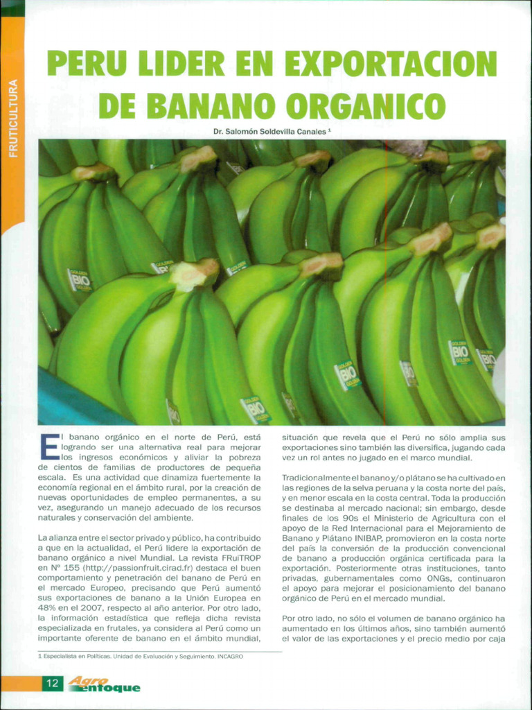 EBSCO FullText 2024 04 23 | PDF | Perú | Inteligencia artificial