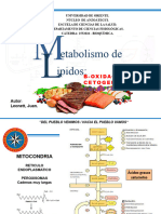 B Oxidacion - Metabolismo Colesterol - Cetogenesis 082126