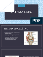 Sistema Ã³seo (1)