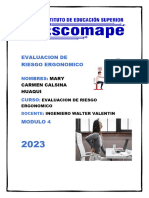 Evaluacion de Riesgo Ergonomico