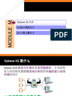 Sybase IQintro