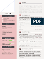 Curriculum Vitae