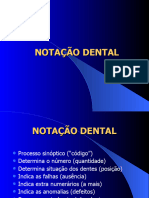 Aula 03 Notacao Dental