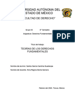 Teorias de Derechos Fundamentales