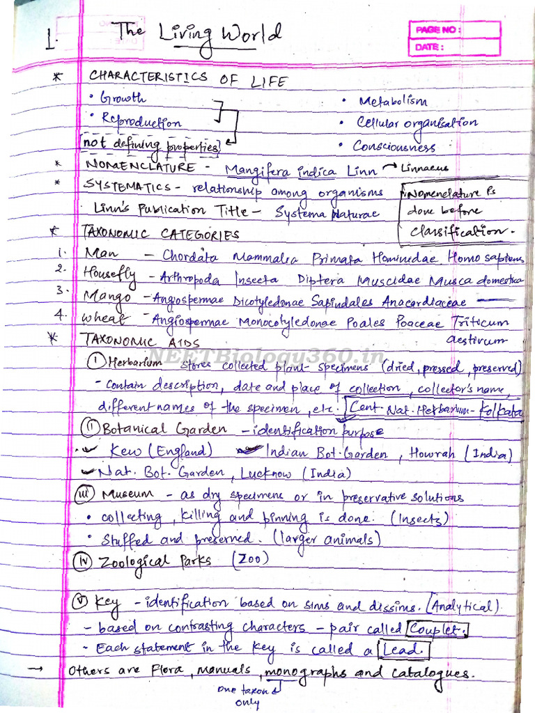 Biology Handwritten Notes HZFBJV | PDF