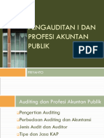 Overview Pengauditan Dan Profesi Akuntan