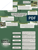 Mapa Mental Plan de Marketing Local para Un Hospedaje Ecosostenible Mucuposadas