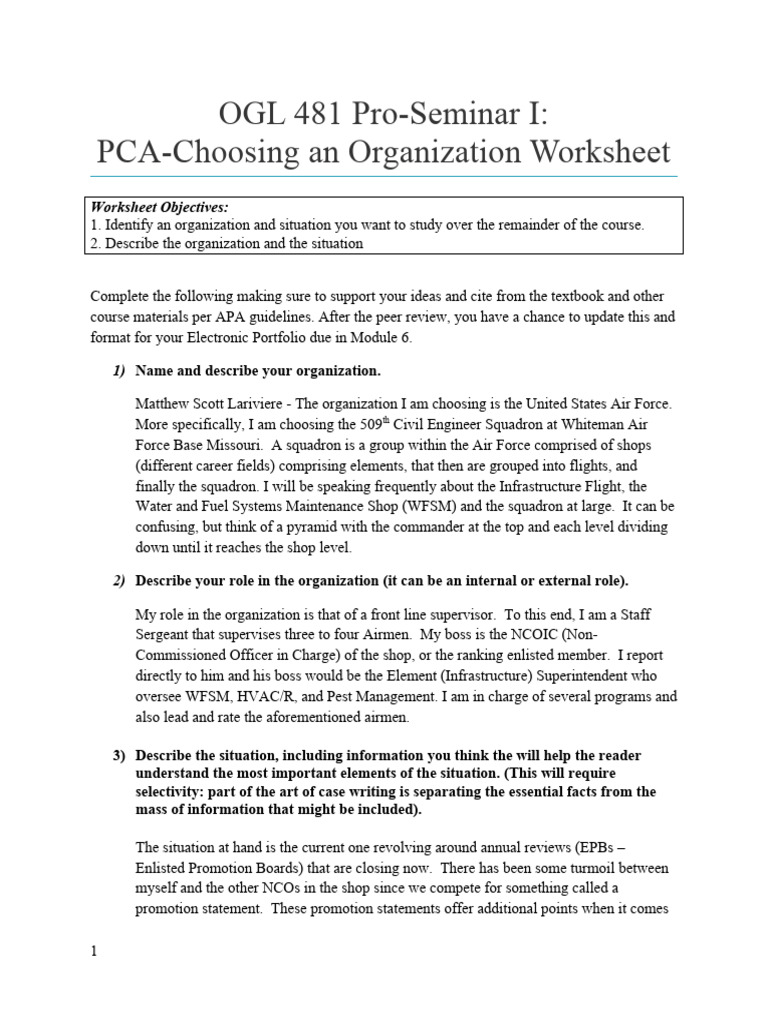 Analyzing Promotion Dynamics in USAF | PDF | Non Commissioned Officer ...