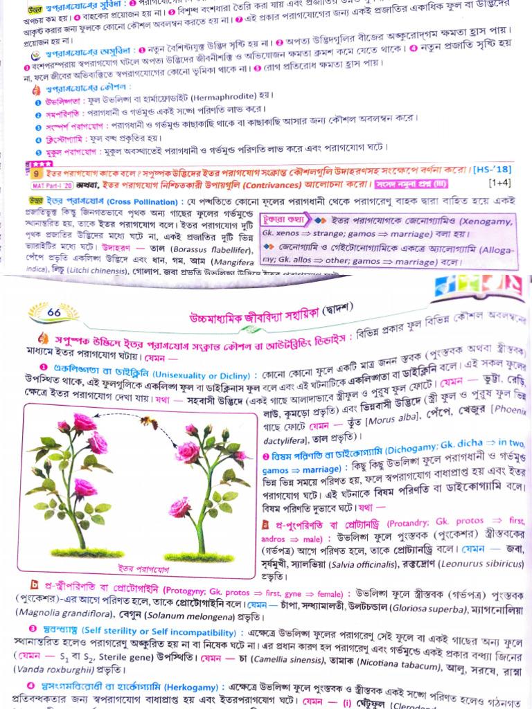 Protandry in Hindi Explained | PDF