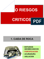 8 Riesgos Criticos