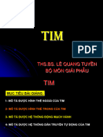 Giải Phẫu Tim