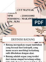Cut Manyak Nazila (23101111002)