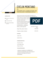 Curriculum Vitae