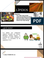 Lipidos