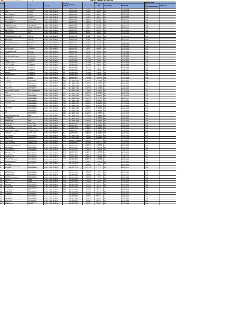 Contractor Manpower Roster | PDF | Technology & Engineering | Computers