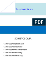 Schistosomiasis 2