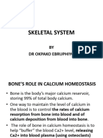 Skeletal System Physiology