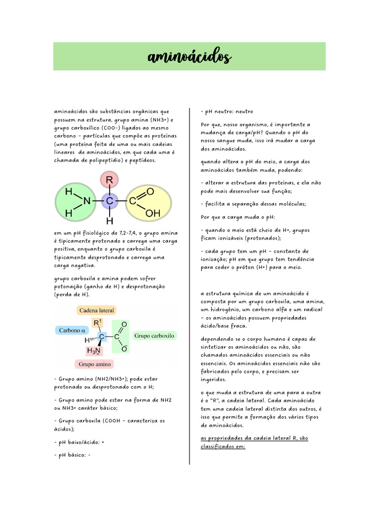 AMINOÁCIDOS | PDF | Aminoácido | Proteínas, image size:768x1024