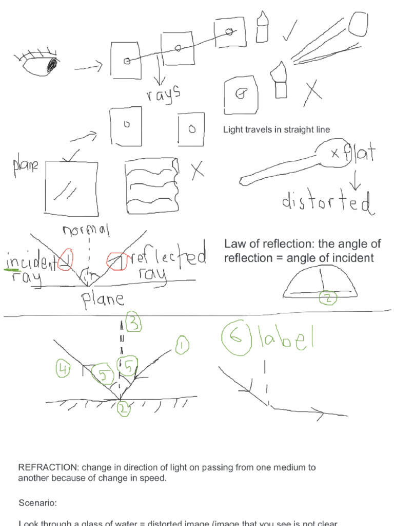 Light pdf
