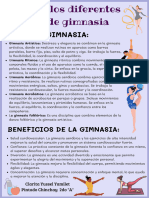 Explora Los Diferentes Tipos de Gimnasia