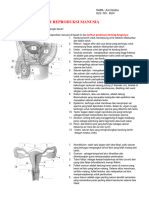 Ave Xi2 Tugas Biologi Anatomi Sistem Reproduksi