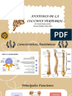 Anatomia de Columna, Hombro y Fractura de Humero