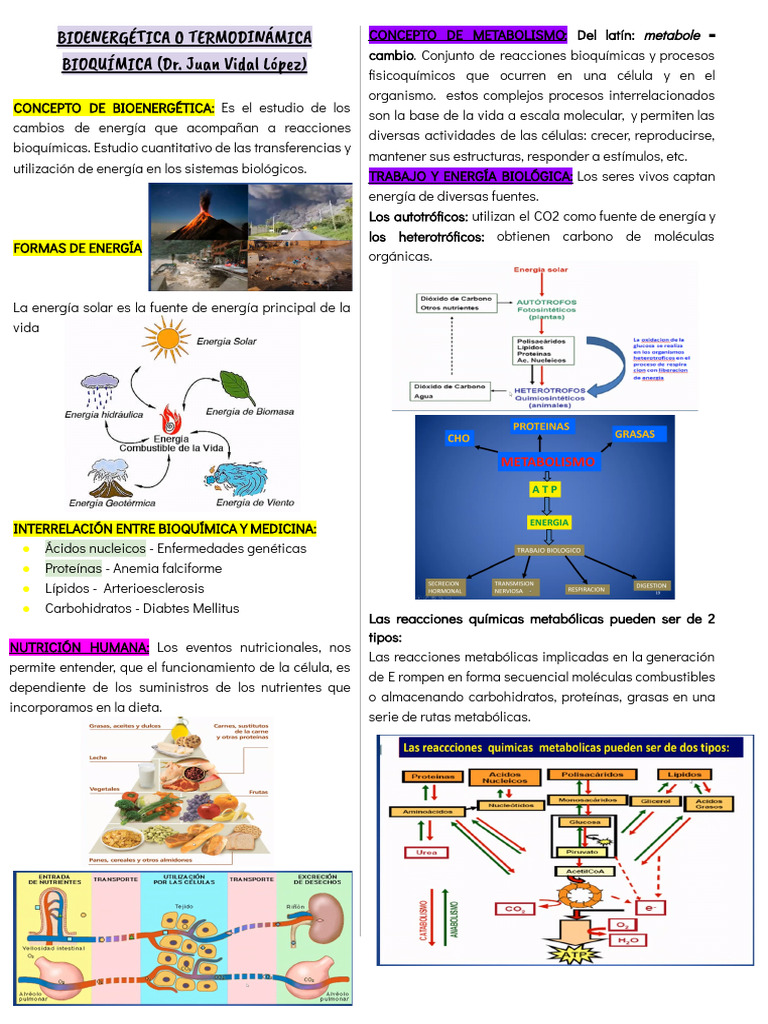 Bioenergética y Metabolismo Celular | PDF | Metabolismo | Redox