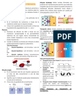 Teoría 2 - Transporte de Membrana y Sistema de Conducción