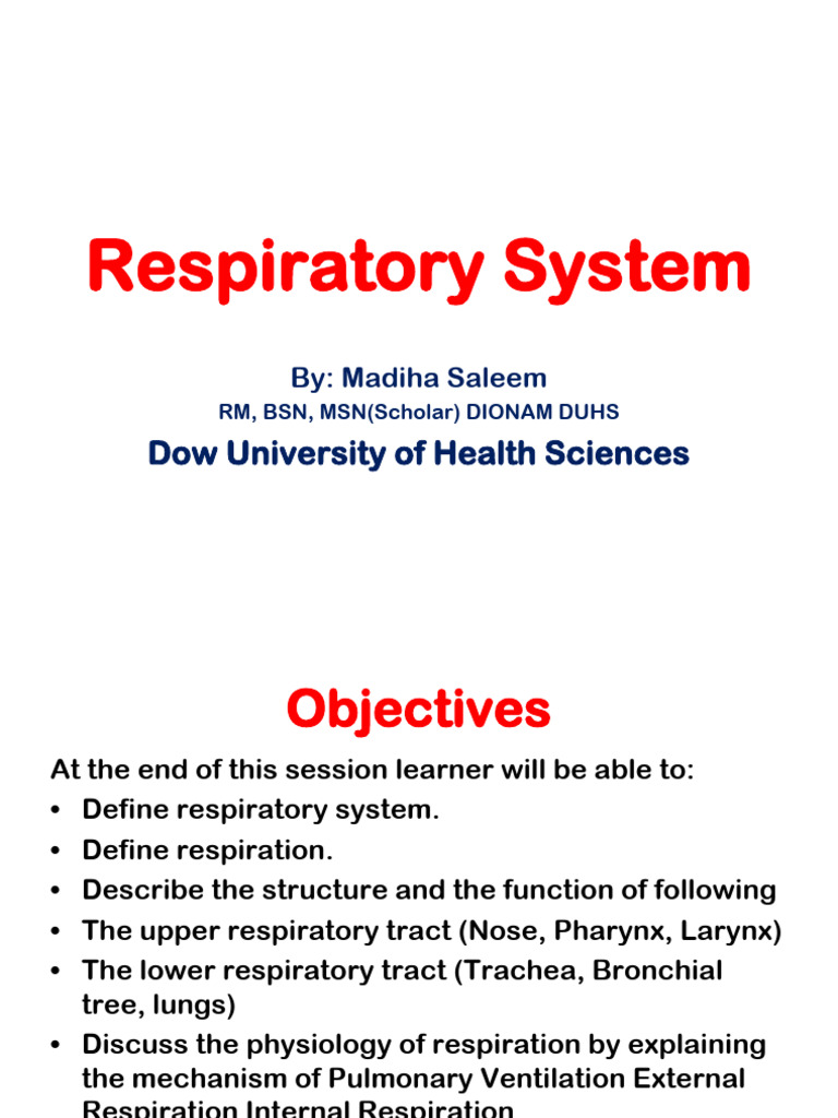 Overview of the Respiratory System | PDF | Respiratory Tract | Lung