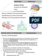 Physiologie_4_230427_133746