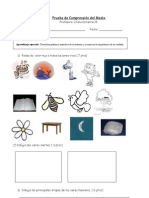 Prueba de Seres Vivos 1º bàsico