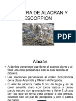 Picadura+de+Alacran+y+Escorpion