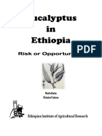 Eucalyptus in Ethiopia