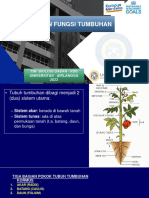 PDB Biologi Dasar - Struktur Dan Fungsi Tumbuhan - Gasal 2023