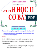 Bai 12 Ho Hap o Thuc Vat