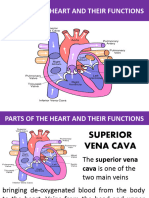 F Parts of The Heart