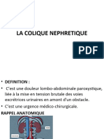 LA COLIQUE NEPHRETIQUE 2021