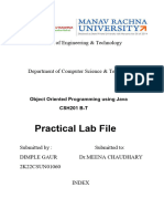 Java Lab File