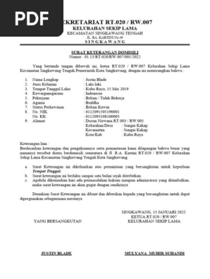 Qizil sochli mushukning fotosurati